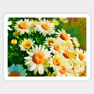 Daisies Watercolor Sticker